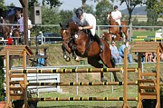 IMG_0022