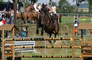 IMG_0008
