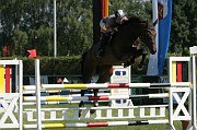 IMG_0009