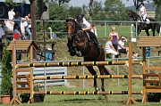 IMG_0016