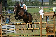 IMG_0041