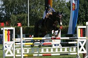 IMG_0050