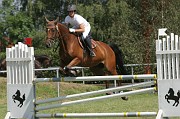 IMG_0083