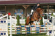 IMG_0022