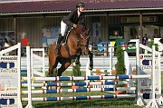 IMG_0041
