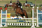 IMG_0042