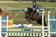 IMG_0003