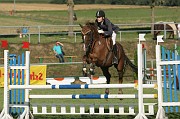 IMG_0011