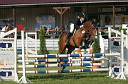IMG_0014