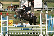 IMG_0037