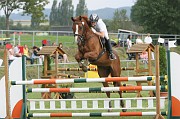 IMG_0008