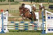 IMG_0036