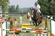 IMG_0010