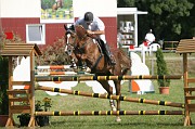 IMG_0016