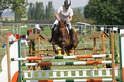 IMG_0017