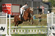 IMG_0006