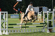IMG_0028