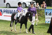 IMG_g0050