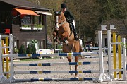 IMG_0052