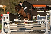 IMG_0181