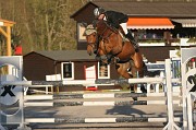 IMG_0188