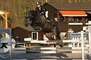 IMG_0192