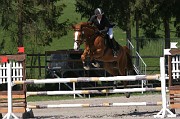 IMG_0017