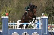 IMG_0121