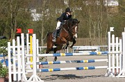IMG_0050