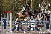 IMG_0010