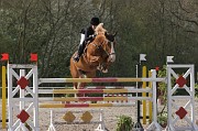 IMG_0015