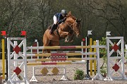IMG_0017