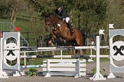 IMG_0017