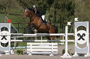 IMG_0056
