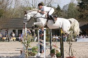 IMG_0006