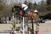 IMG_0010