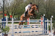 IMG_0015