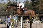 IMG_0284
