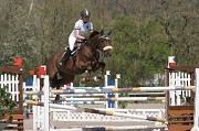 IMG_0017