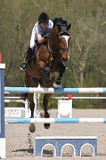 IMG_0060