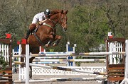 IMG_0113