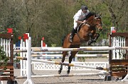 IMG_0164