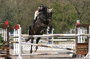 IMG_0167