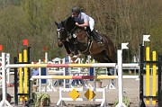 IMG_0184