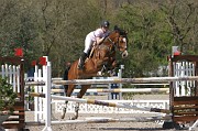 IMG_0210