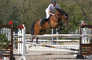 IMG_0217
