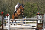 IMG_0225