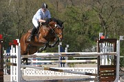 IMG_0234