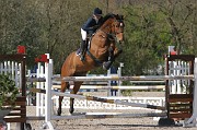 IMG_0237