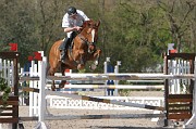IMG_0248